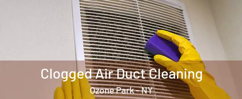 Clogged Air Duct Cleaning Ozone Park - NY