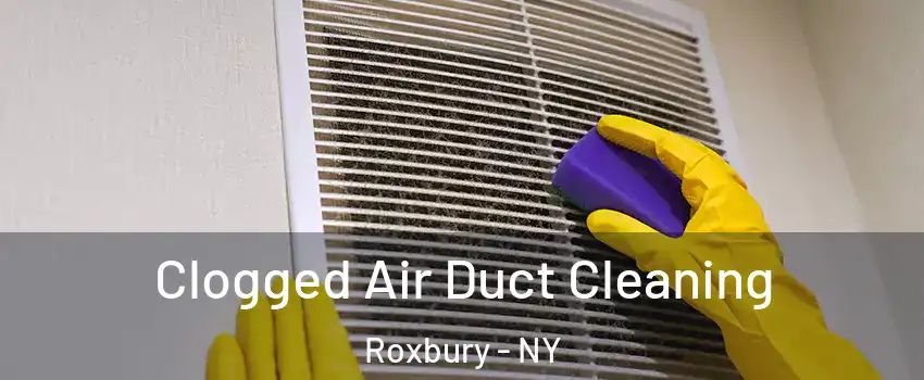 Clogged Air Duct Cleaning Roxbury - NY