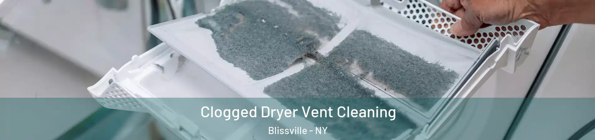 Clogged Dryer Vent Cleaning Blissville - NY