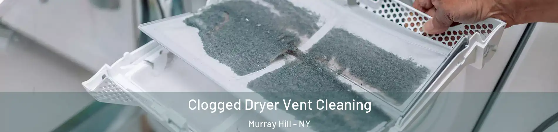 Clogged Dryer Vent Cleaning Murray Hill - NY