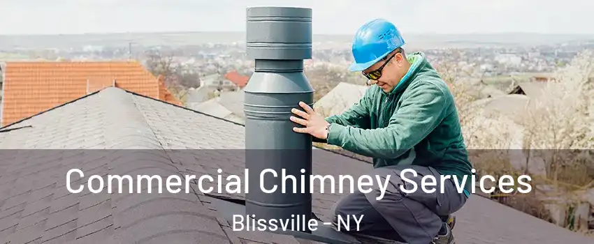 Commercial Chimney Services Blissville - NY