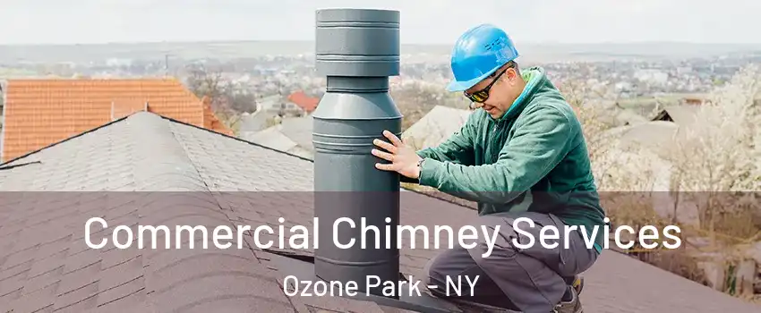 Commercial Chimney Services Ozone Park - NY