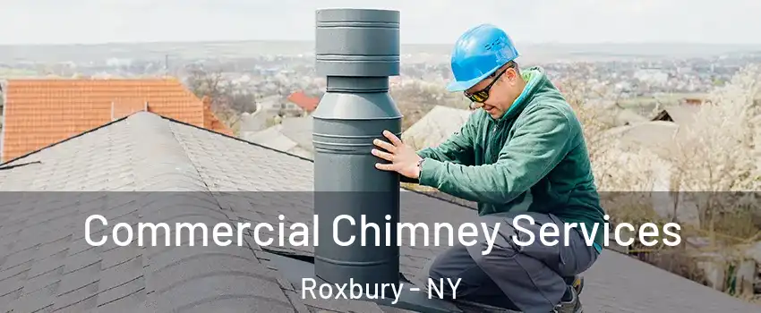 Commercial Chimney Services Roxbury - NY