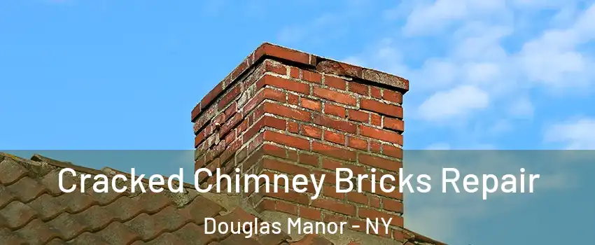 Cracked Chimney Bricks Repair Douglas Manor - NY
