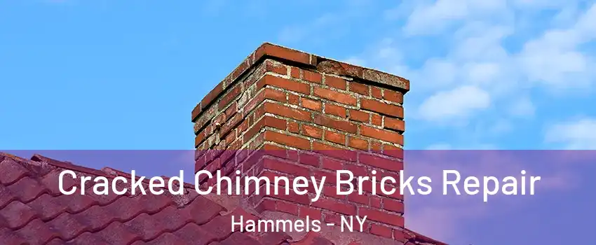Cracked Chimney Bricks Repair Hammels - NY
