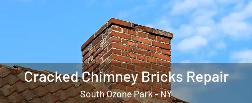 Cracked Chimney Bricks Repair South Ozone Park - NY