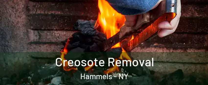 Creosote Removal Hammels - NY