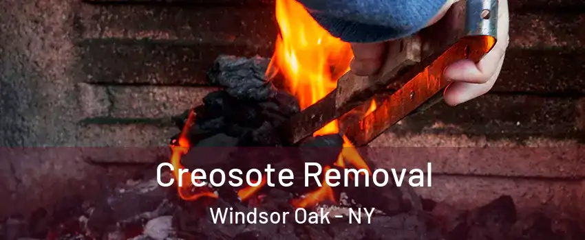 Creosote Removal Windsor Oak - NY