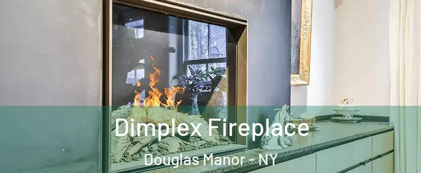 Dimplex Fireplace Douglas Manor - NY