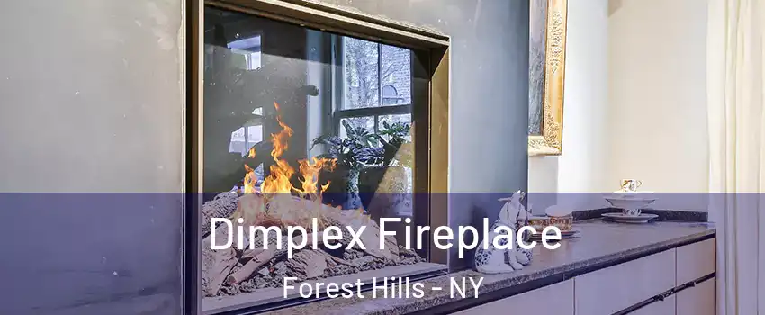 Dimplex Fireplace Forest Hills - NY