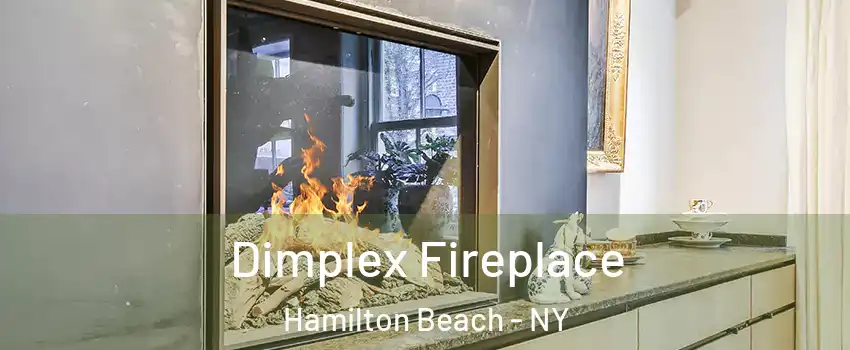 Dimplex Fireplace Hamilton Beach - NY