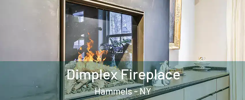 Dimplex Fireplace Hammels - NY