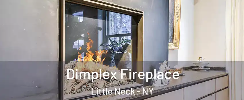 Dimplex Fireplace Little Neck - NY
