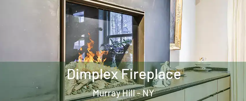 Dimplex Fireplace Murray Hill - NY