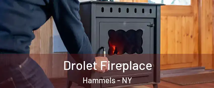 Drolet Fireplace Hammels - NY