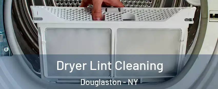 Dryer Lint Cleaning Douglaston - NY