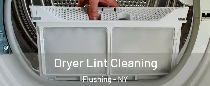 Dryer Lint Cleaning Flushing - NY