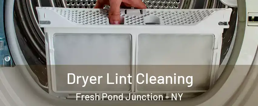 Dryer Lint Cleaning Fresh Pond Junction - NY
