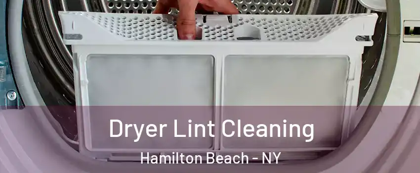 Dryer Lint Cleaning Hamilton Beach - NY