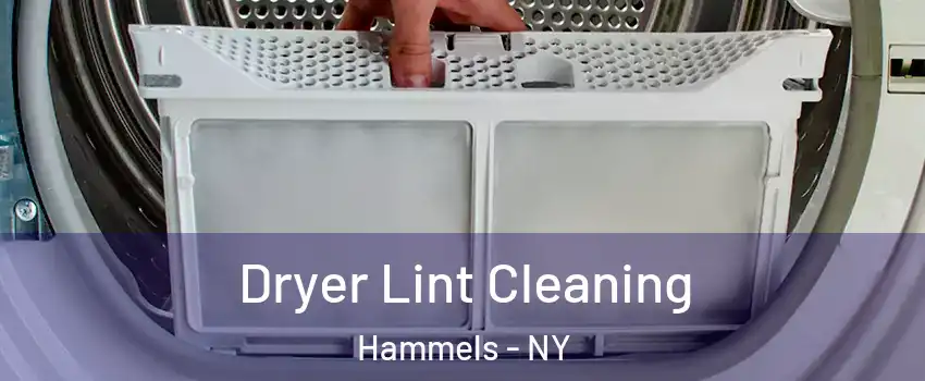 Dryer Lint Cleaning Hammels - NY