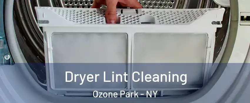 Dryer Lint Cleaning Ozone Park - NY