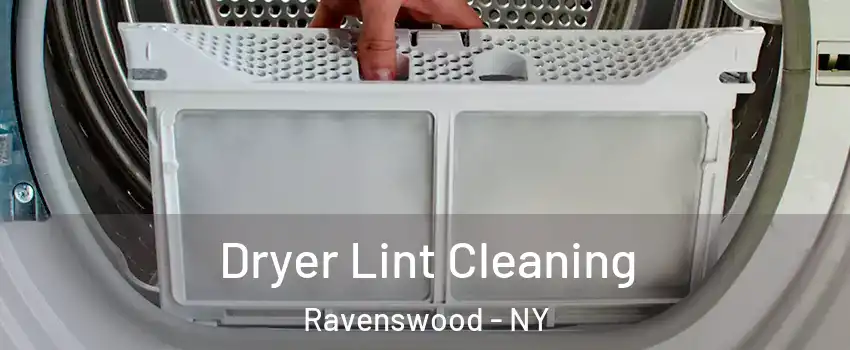 Dryer Lint Cleaning Ravenswood - NY
