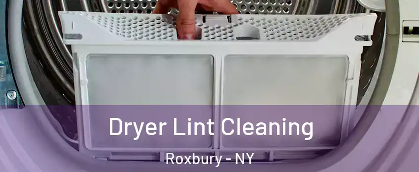 Dryer Lint Cleaning Roxbury - NY