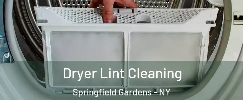 Dryer Lint Cleaning Springfield Gardens - NY
