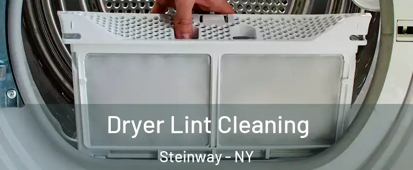 Dryer Lint Cleaning Steinway - NY
