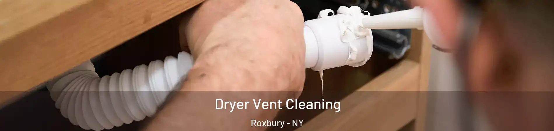 Dryer Vent Cleaning Roxbury - NY