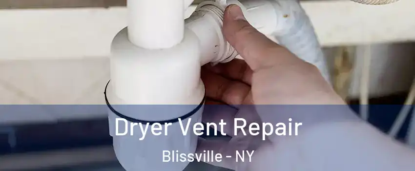 Dryer Vent Repair Blissville - NY