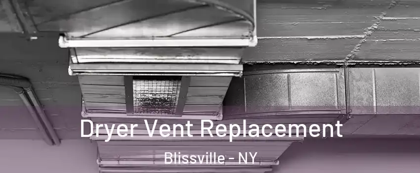 Dryer Vent Replacement Blissville - NY