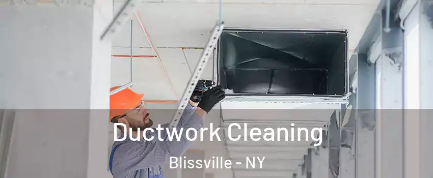 Ductwork Cleaning Blissville - NY