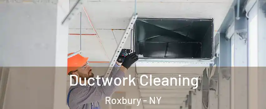 Ductwork Cleaning Roxbury - NY