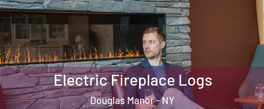Electric Fireplace Logs Douglas Manor - NY