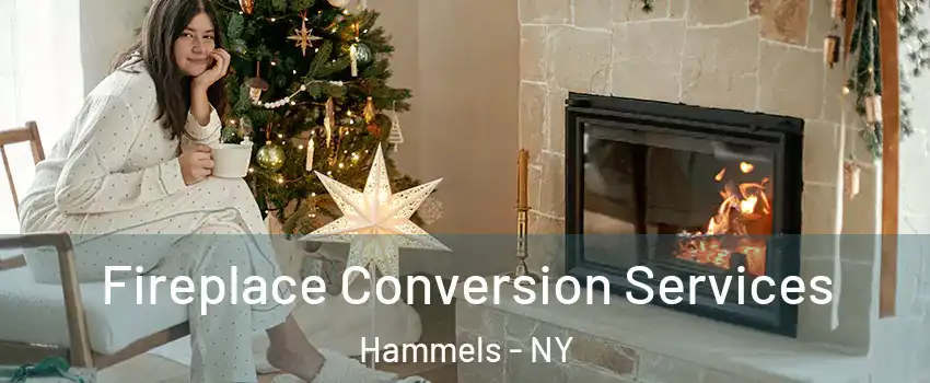 Fireplace Conversion Services Hammels - NY