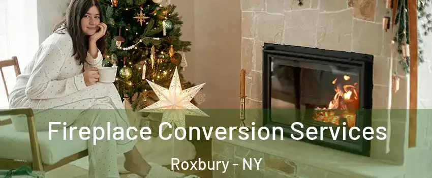 Fireplace Conversion Services Roxbury - NY