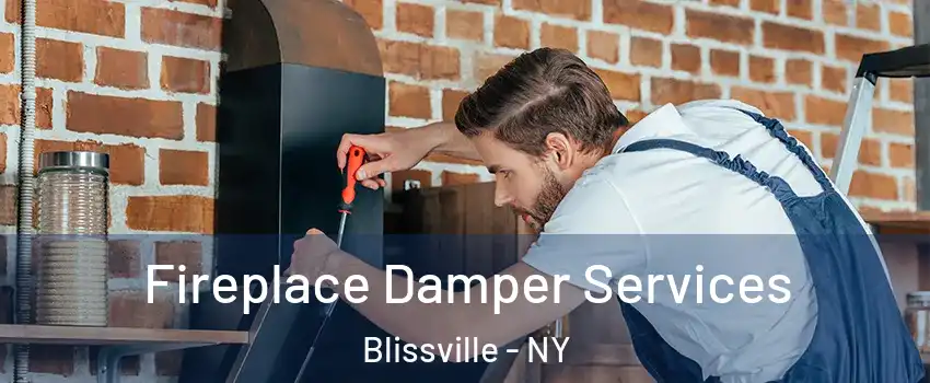 Fireplace Damper Services Blissville - NY