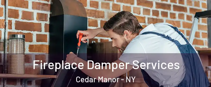 Fireplace Damper Services Cedar Manor - NY