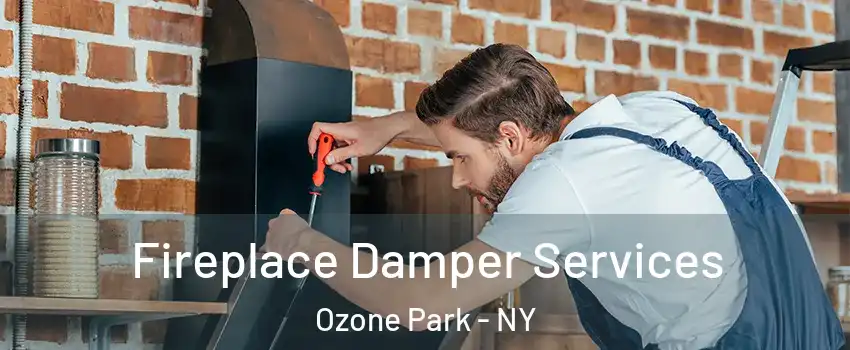 Fireplace Damper Services Ozone Park - NY