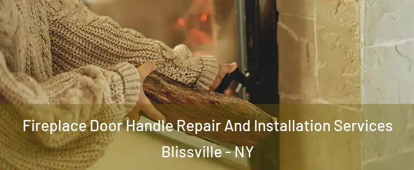 Fireplace Door Handle Repair And Installation Services Blissville - NY