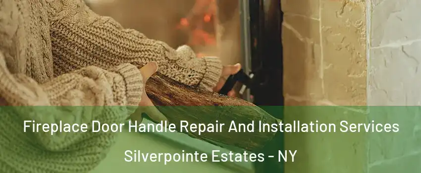 Fireplace Door Handle Repair And Installation Services Silverpointe Estates - NY