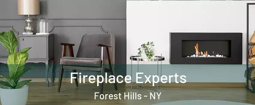 Fireplace Experts Forest Hills - NY