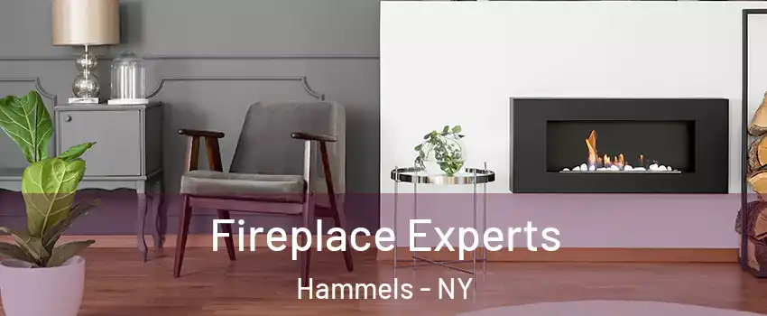 Fireplace Experts Hammels - NY