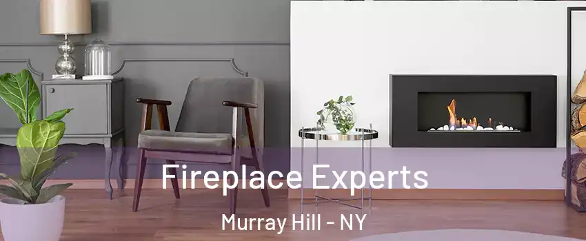 Fireplace Experts Murray Hill - NY