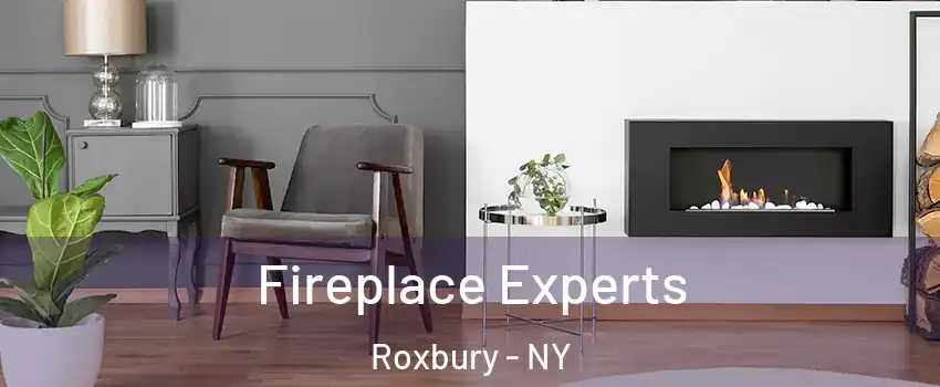 Fireplace Experts Roxbury - NY