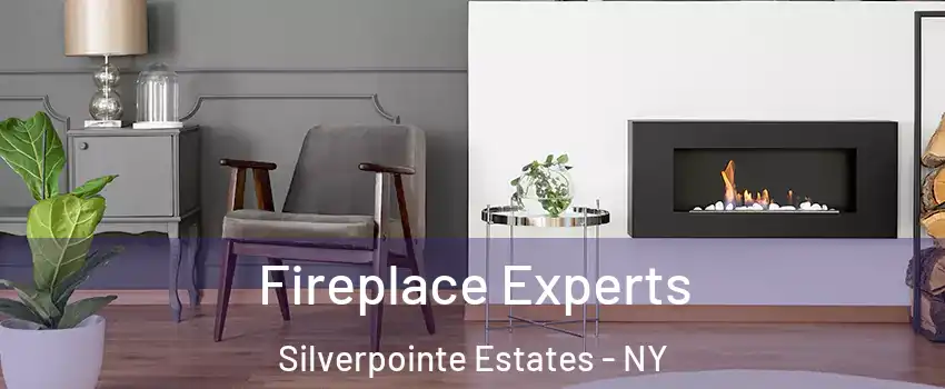 Fireplace Experts Silverpointe Estates - NY