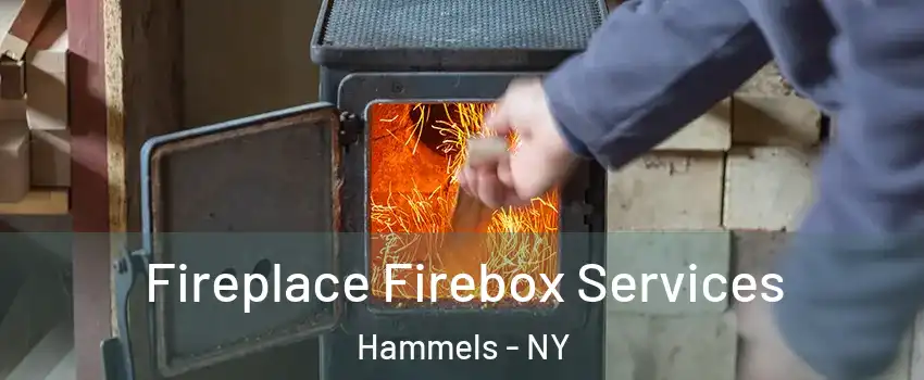 Fireplace Firebox Services Hammels - NY