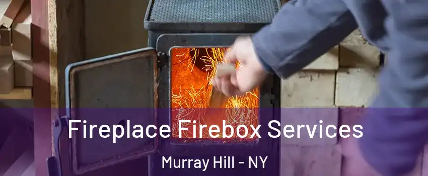Fireplace Firebox Services Murray Hill - NY