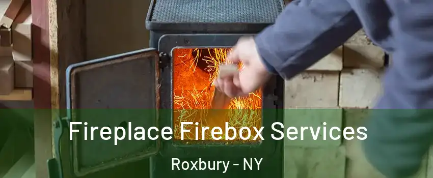 Fireplace Firebox Services Roxbury - NY